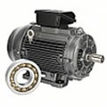 Produktbereich Motoren