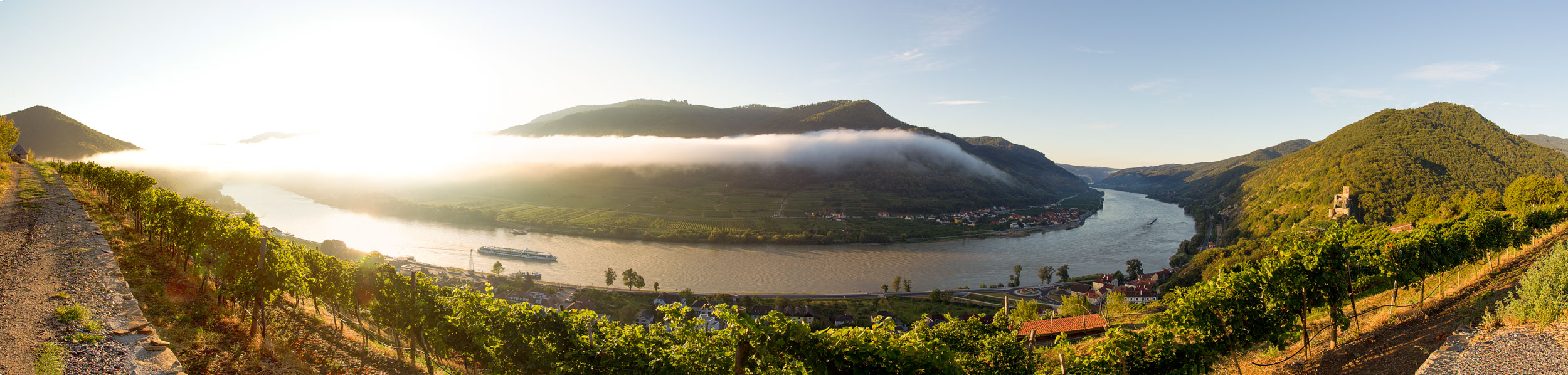 Landschaft Spitz in der Wachau