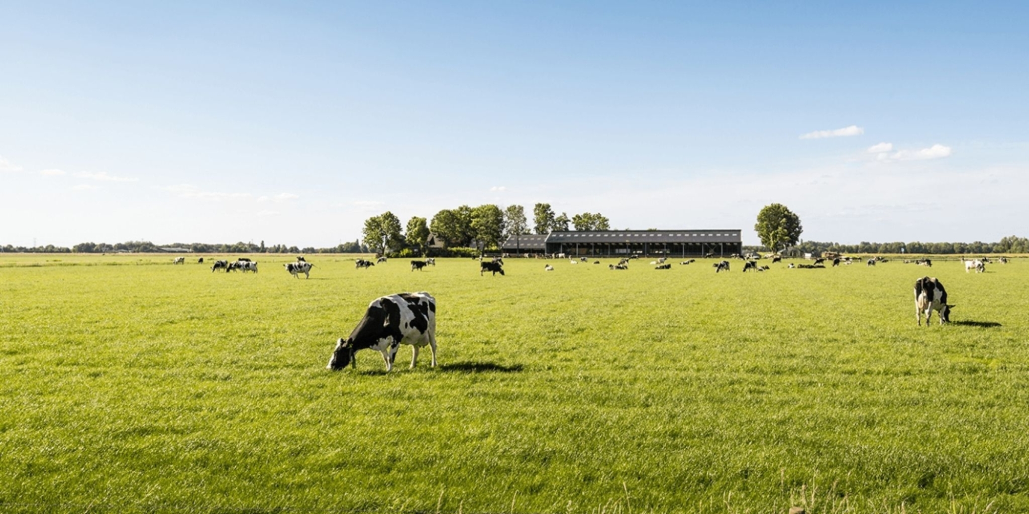 ForFarmers team agrar – Fertigung