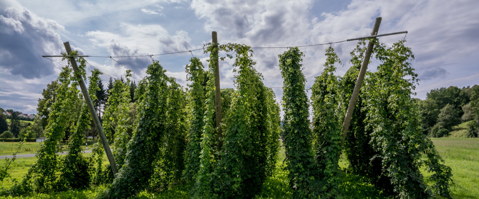 Eindruck aus der Brauerei