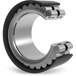 Planetary Gear Bearing (RN/RNN-Serie)