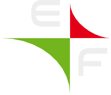Energoflow Logo