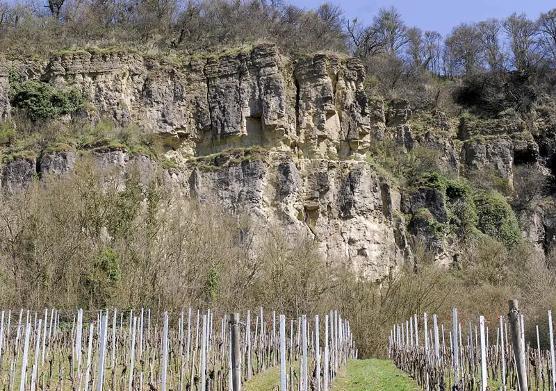 Muschelkalkfelsen über den Weinbergen