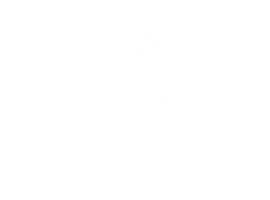 Pelton-Turbine