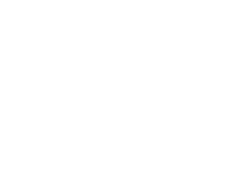 Francis-Turbine