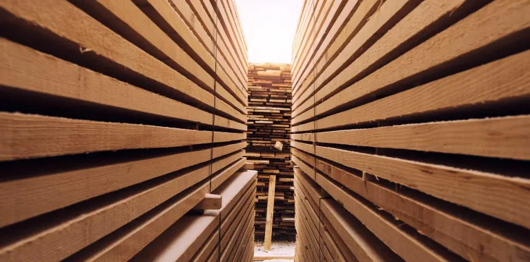 Holz als Grundbaustoff