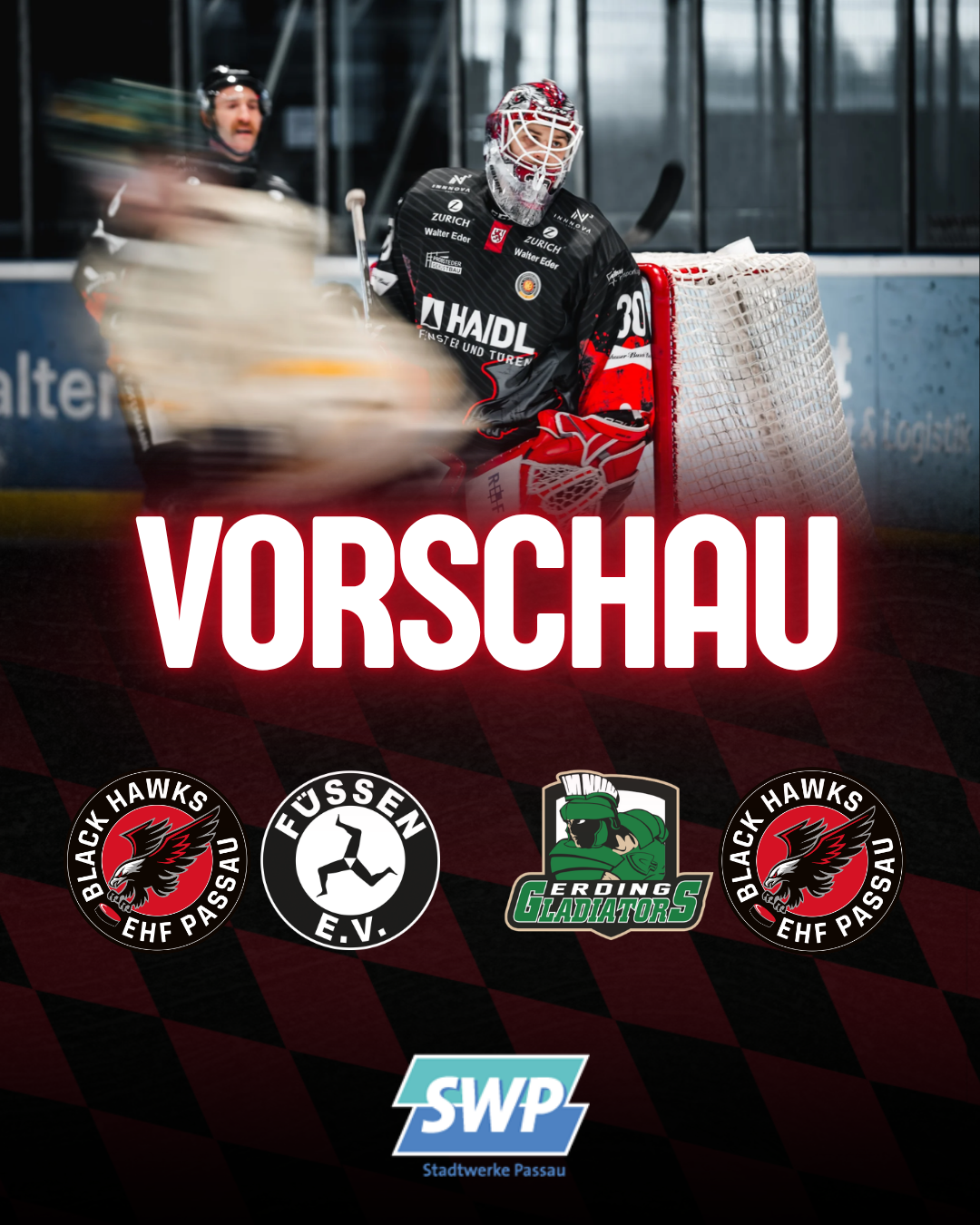 Nachwuchs- und Abteilungen (Inlinehockey, Cheerleading, Schiedsrichter)