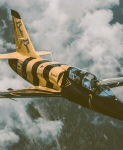 L-39 Albatros Militärjet