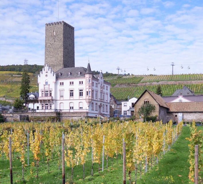 Standort Rüdesheim am Rhein