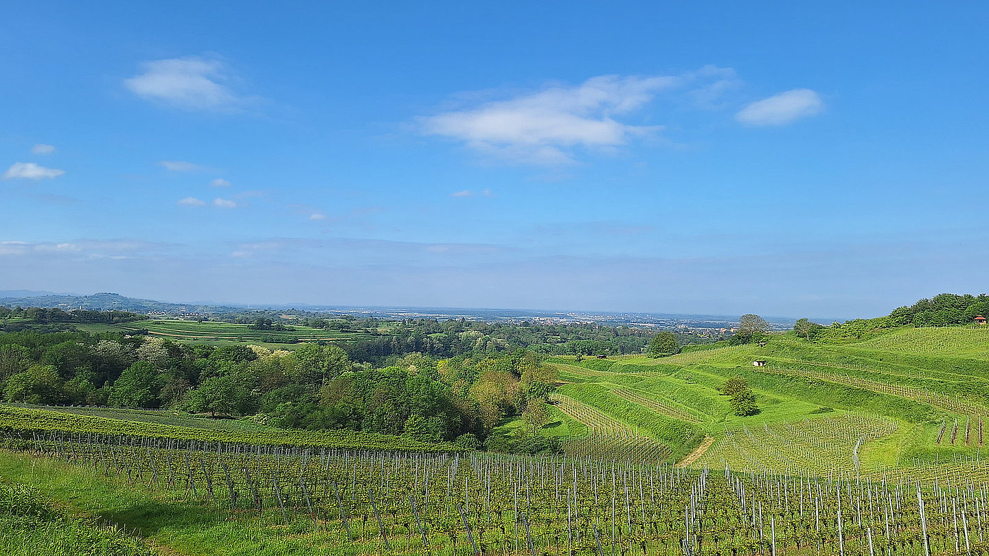 Blick auf den Standort Kippenheim