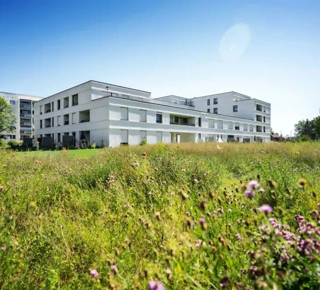 Neighborhood solution for 100 apartments