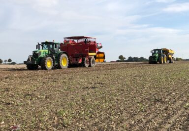 Kartoffelroder im Einsatz bei der Ernte