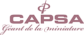 CAPSA Logo