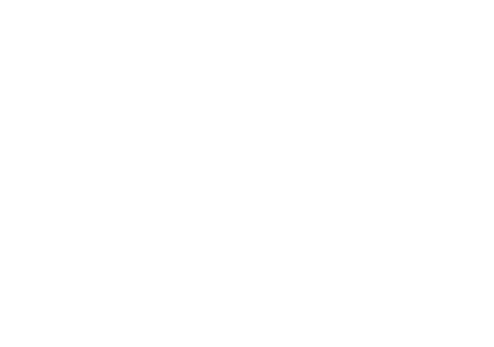 MKF Logo