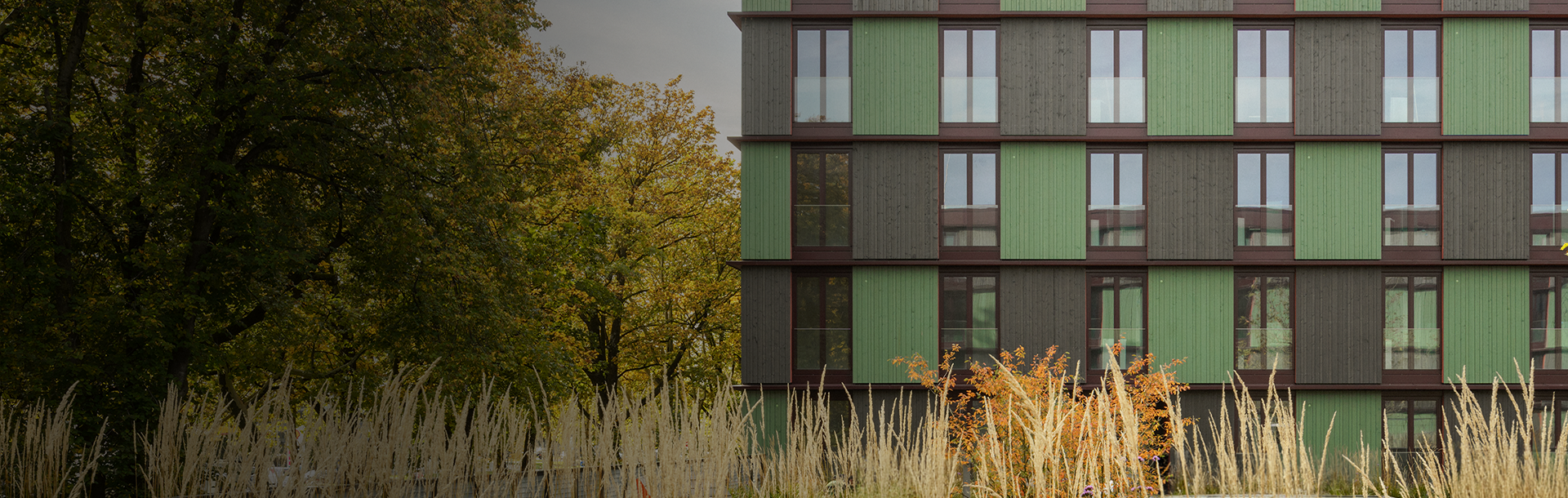 Holzfassade