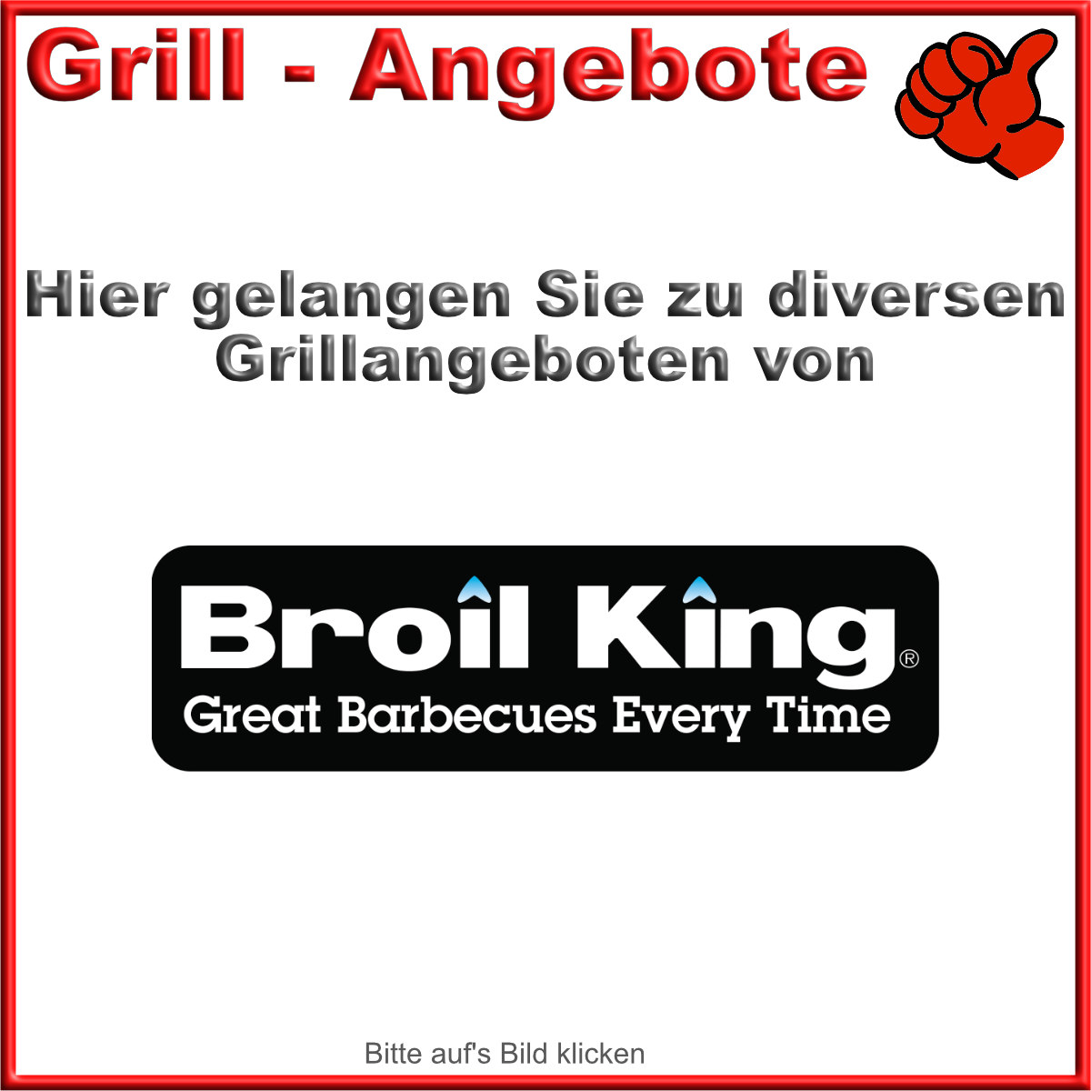 Broil King Grill