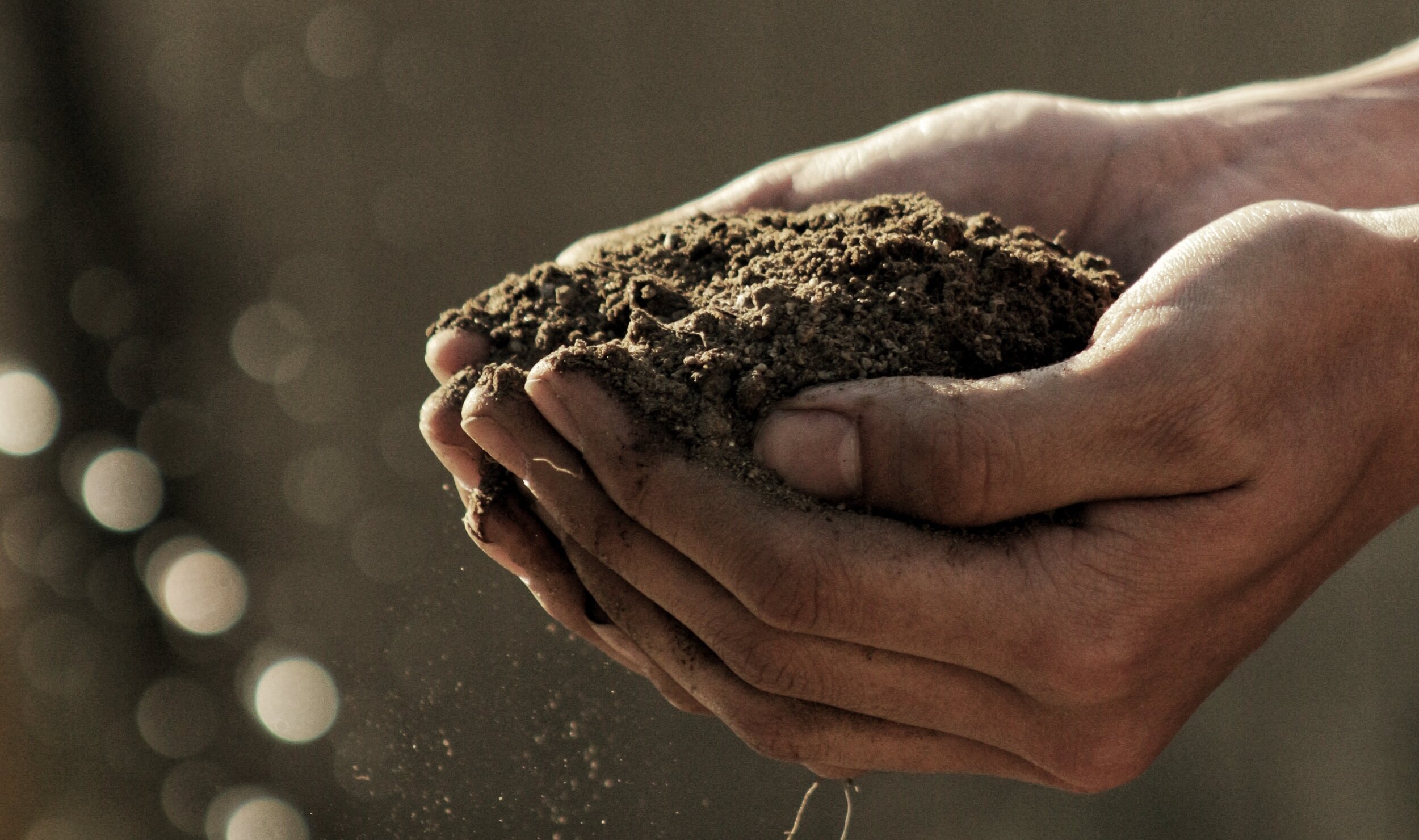 Sustainability-Programm von Seedtech