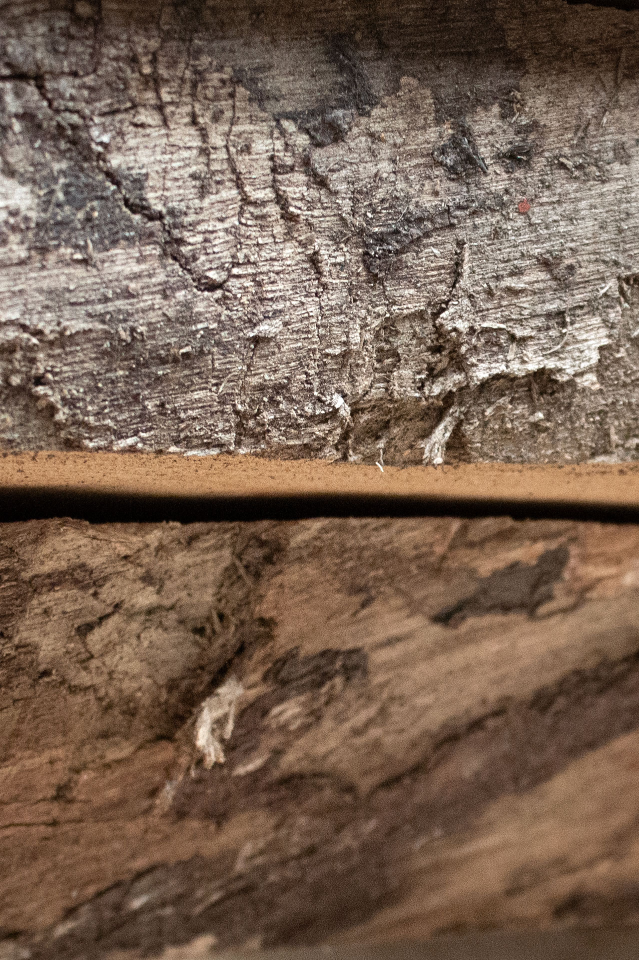 Sawn wooden boards with natural live edge
