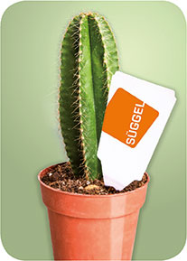 Kundenspezifische Etiketten