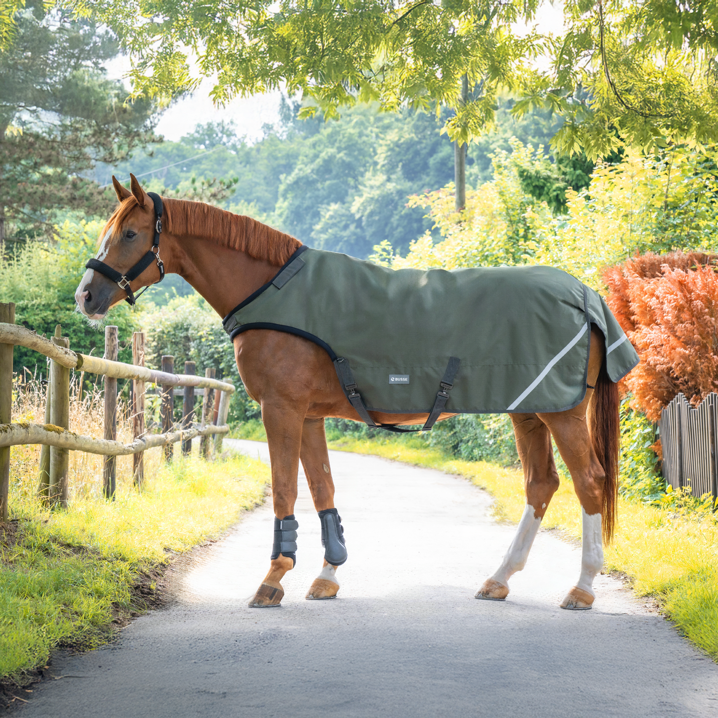 Bewegungsdecke RAIN HL