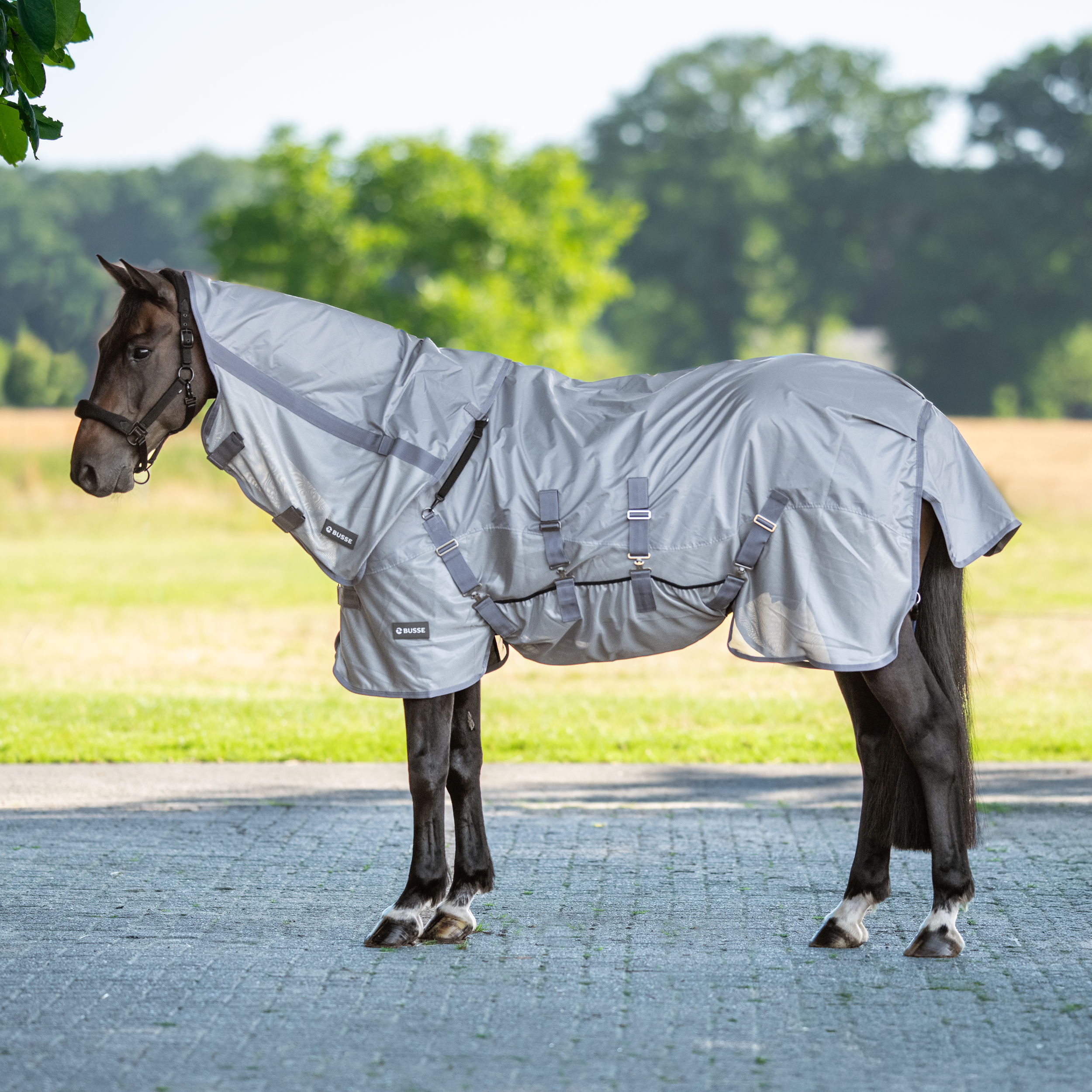 Outdoordecke RAINFLY BL
