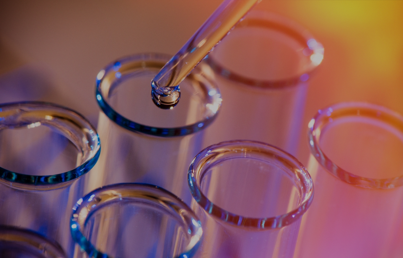 Hochleistungsmaterialien (High-Performance Materials)