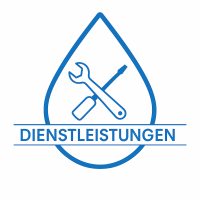 Dienstleistungen: Installation und Überprüfung vor Ort