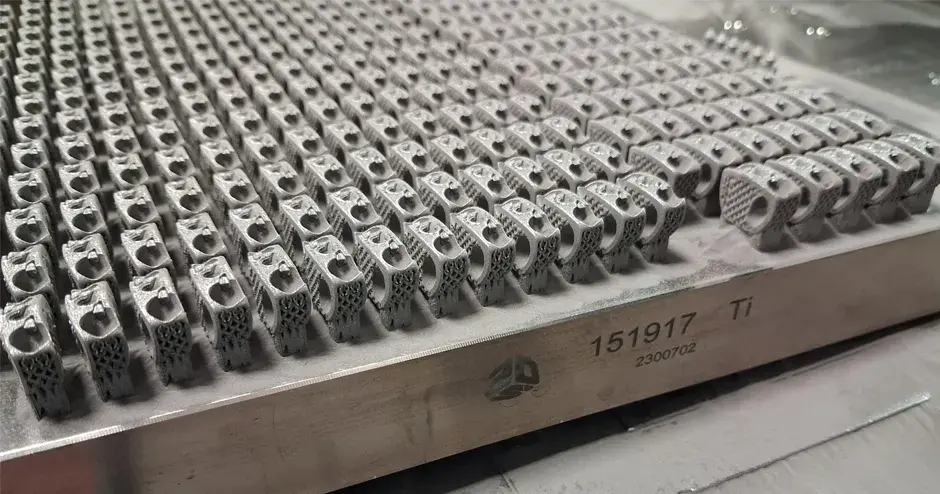 Wirbelkäfige für Spinalimplantate