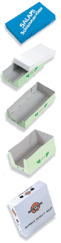 Kartonverpackung