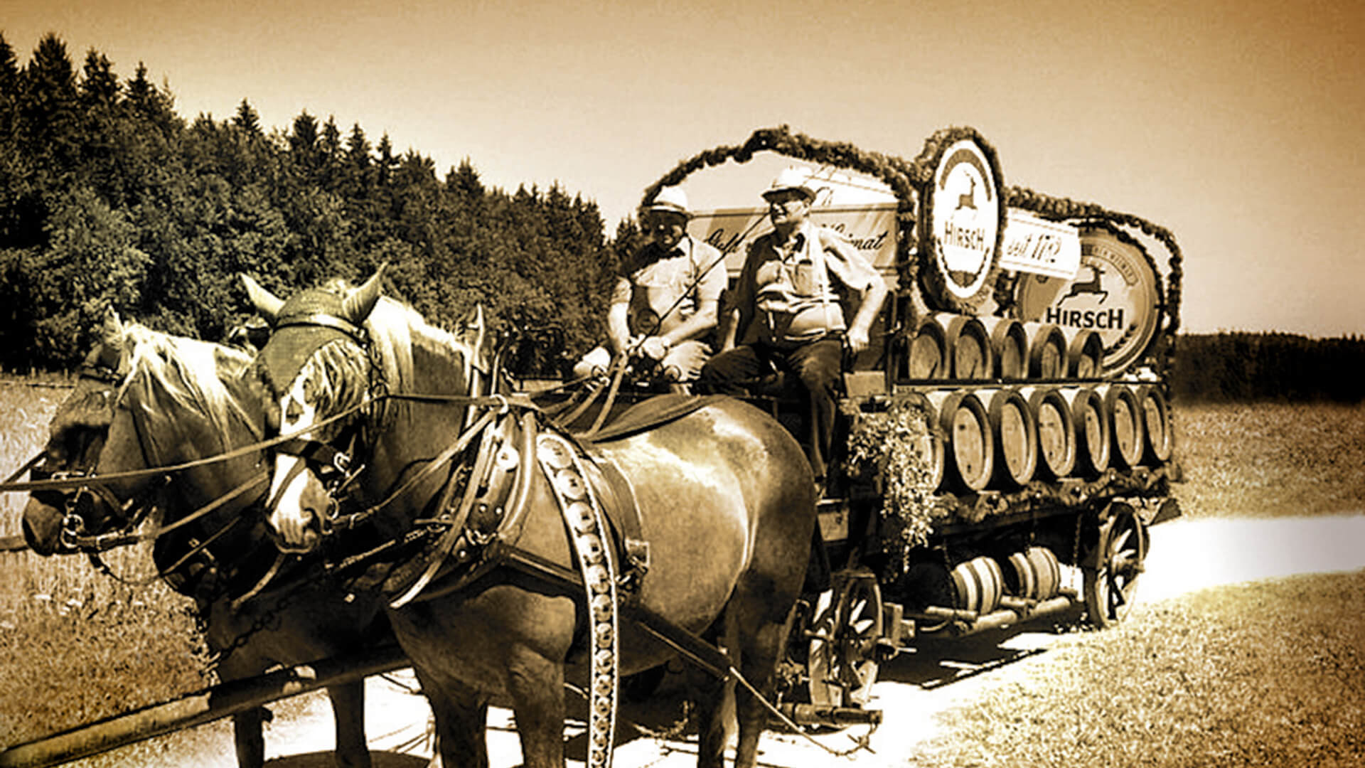 Historic horse-drawn carriage
