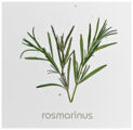 Modell La Cuisine mit echtem Rosmarin