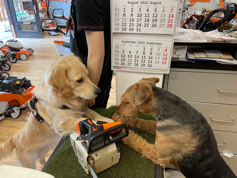 Reparatur Elektrowerkzeuge mit elektrischer Prüfung