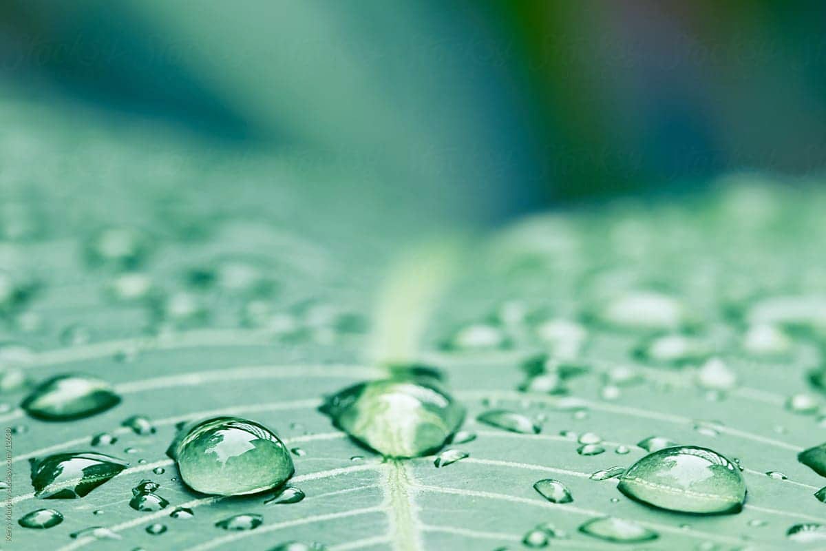 Umwelt und Natur