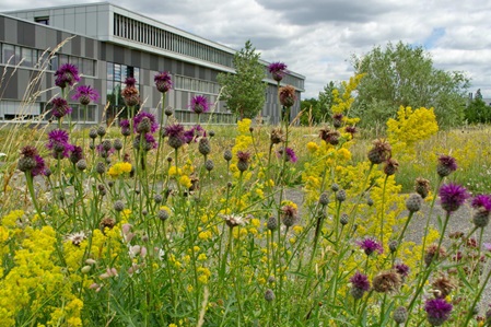 Freianlagen Biologie Universität Regensburg