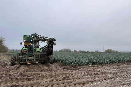Ardo Agro-Bericht Oktober 2025
