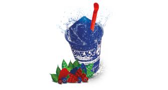 Sneky Blood Slush-Konzentrat (Waldfrucht)