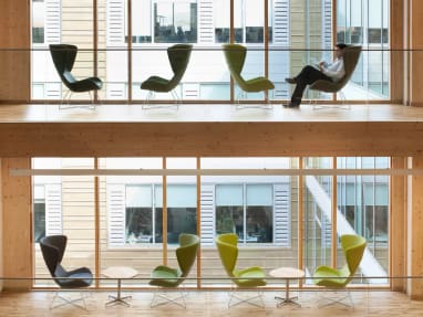 Avi Lounge Chair (Orangebox)