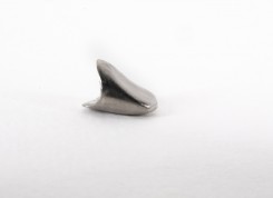Single Coping Ti (anterior)