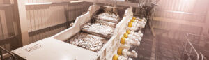 Cement & Aggregates