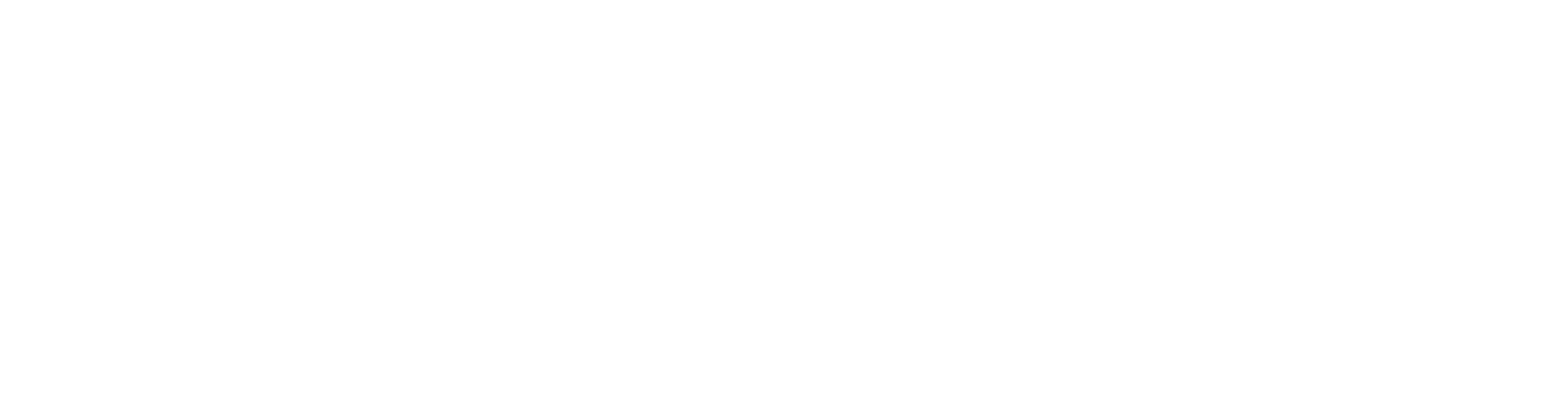 BG-WZM Logo