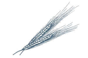 Einkornmehl