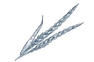 Emmermehl