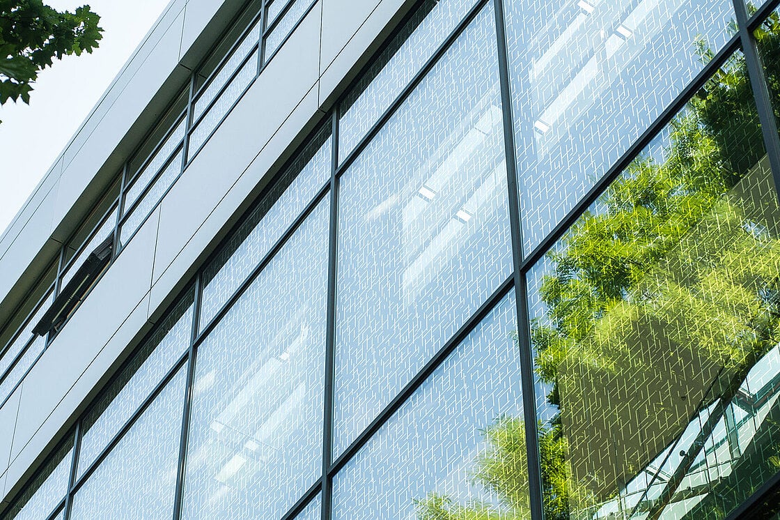 Vogelschutzglas BIRDPROTECT
