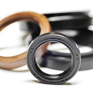 Radial shaft seal