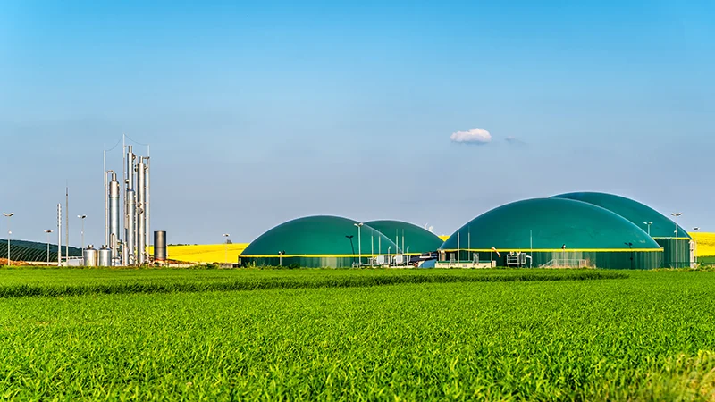 Verbrennung von Restgasen aus Biogasanlagen