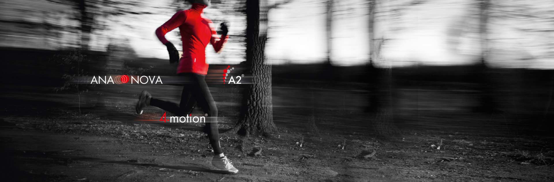 Versorgung mit A2® Schaft