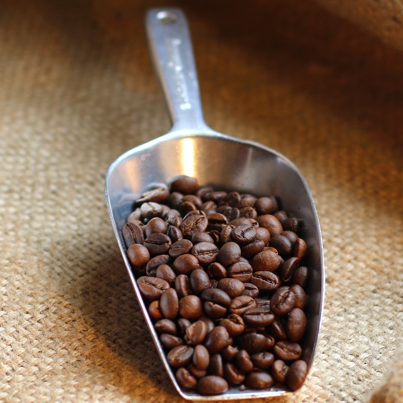 Kaffee Indien Monsooned