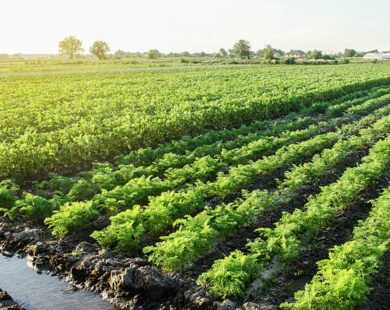 Komponenten zur landwirtschaftlichen Bewässerung