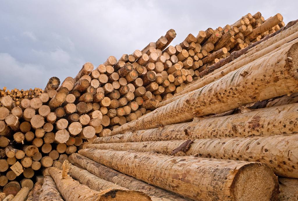Künzel Holz – Fertigung
