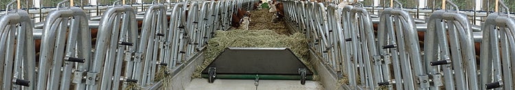 feedstar Futterband im Stall